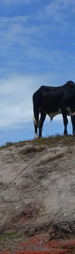 Begegnungen am Strassenrand